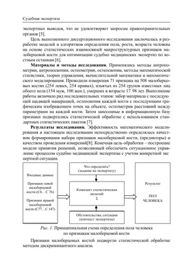 Обществознание : 6-11-й классы (Пазин, Р. В.)