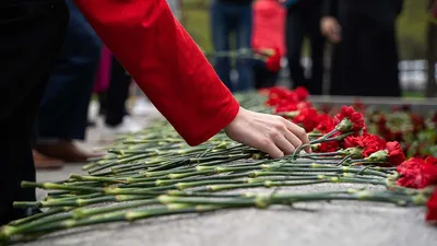 Под Волгоградом подросток подарил школьному учителю две гвоздики с черной  лентой | 12.10.2023 | Боковская - БезФормата