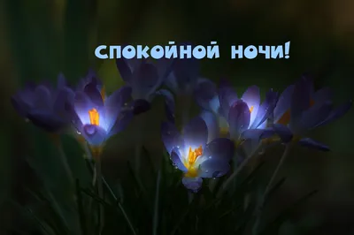 Гифки \"Спокойной ночи\" - Большая коллекция GIF на ночь