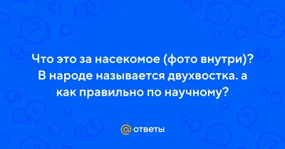 Ребят, что это за жучки? Часто вижу их в ванной в последнее время. И по  полу там бегают очень мелкие. Может от сырости.. | ВКонтакте