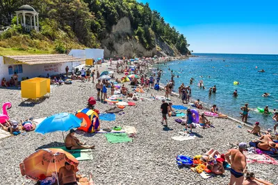 Джанхот - отдых на Черном море в Геленджикском районе