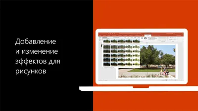 Эффекты нарощенных ресниц (лисий) - купить материалы в Киеве |  Tufishop.com.ua