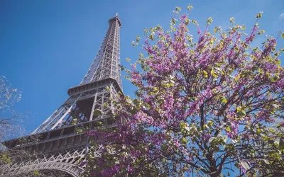 Эйфелева башня (La tour Eiffel) в Париже