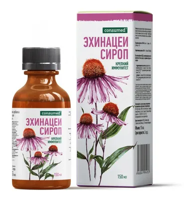 Купить Эхинацея пурпурная \"Примадонна Розеа\" (Echinacea purpurea  'Primadonna Rosea') от 299 руб. в интернет-магазине Архиленд с доставкой  почтой по Москве и в регионы