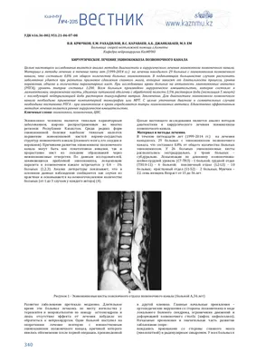 Осторожно эхинококкоз | 19.07.2023 | Боготол - БезФормата