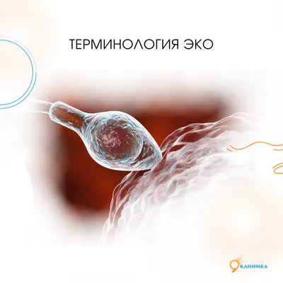 Последние достижения в технологии ЭКО: повышение ваших шансов на успех