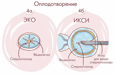 Эко-Таблетки для посудомоечной машины - купить по цене 654.55 рублей в  интернет-магазине GRASS Москва