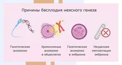 ЭКО с двойной стимуляцией сделать платно Euromed In Vitro СПб