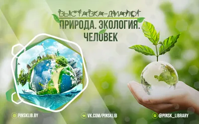 4 уровня экологии человека💚: Социальный | 💚ДОБРАЯ ЭКОЛОГИЯ | Дзен