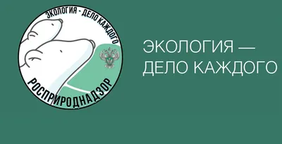 Россияне назвали самые неблагополучные с точки зрения экологии города — РБК