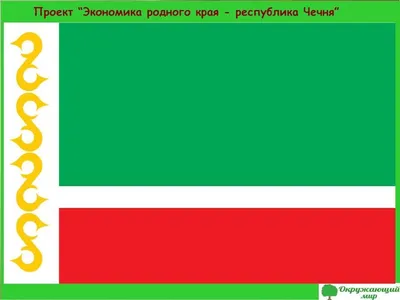 Окружающий мир 3 класс 2 часть Проект Экономика родного края – Чеченская  республика | Экономика, Проекты, Электроэнергетика