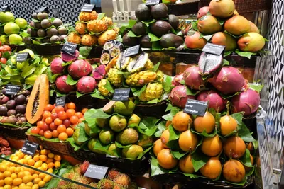 В Крыму начали выращивать экзотические фрукты в промышленных масштабах -  Российская газета