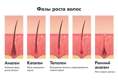 Электроэпиляция – что это и какие проблемы решает?