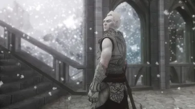 True Snow Elf Race / Истинные Снежные Эльфы (SE) - Тело I Лицо I Волосы -  TES V: Skyrim SE-AE - Моды на русском для Skyrim, Fallout, Starfield и  других игр - Gamer-mods