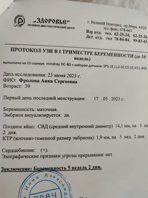 Эмбрион» не равно «человек». Почему аборт нельзя приравнивать к убийству -  Горящая изба