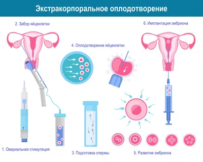 Беременность по неделям | Клиника ведения беременности в Пятигорске