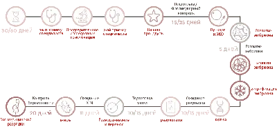 Беременность 4 недели: что происходит, ощущения в животе, признаки,  развитие плода, УЗИ | Четвертая акушерская неделя беременности