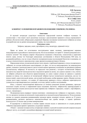 Развитие эмбриона по дням: как выглядит и развивается эмбрион по неделям  беременности.