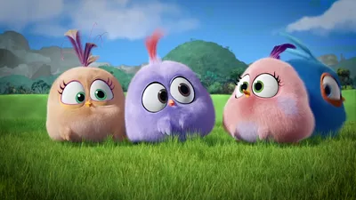 The latest Angry Birds trailer is online | Movies | %%channel_name%%