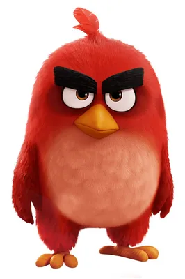 The shape, the color, and the emotion: Angry Birds' character design | by  Stanislav Stankovic | UX Collective