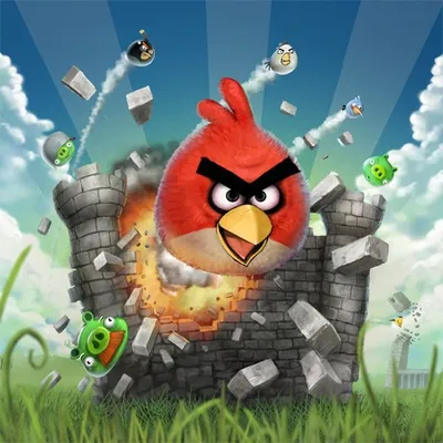 Разработчик игры Angry Birds решил удалить ее из Google Play | РБК Life