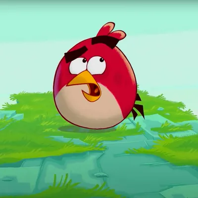 MultiVersus Red from Angry Birds!!! by KrimaDraws on DeviantArt