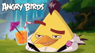 The Angry Birds Movie review – game spin-off that doesn't quite reach Lego  Movie levels | Movies | The Guardian