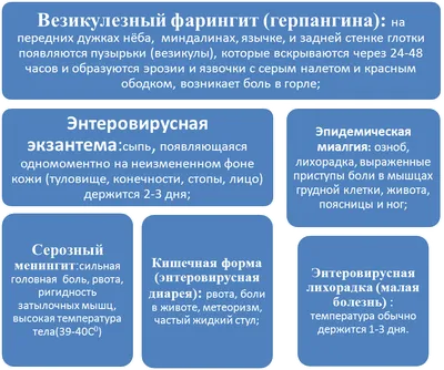 Новости: Профилактика энтеровирусных инфекций