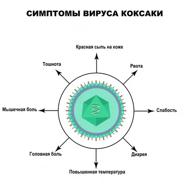 Энтеровирусная инфекция под вопросом - Советчица