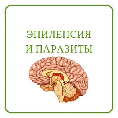 Эпилепсия. Основы диагностики и терапии – тема научной статьи по  клинической медицине читайте бесплатно текст научно-исследовательской  работы в электронной библиотеке КиберЛенинка