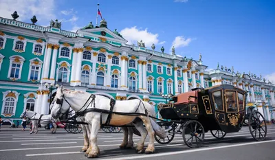 Эрмитаж будет давать бесплатные концерты для посетителей в очереди