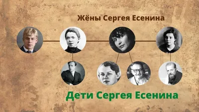 Как на самом деле погиб поэт Сергей Есенин | Нижегородская правда