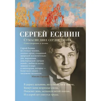 Сергей Александрович Есенин. Портреты русских писателей и поэтов  (ID#221242018), цена: 309 ₴, купить на Prom.ua