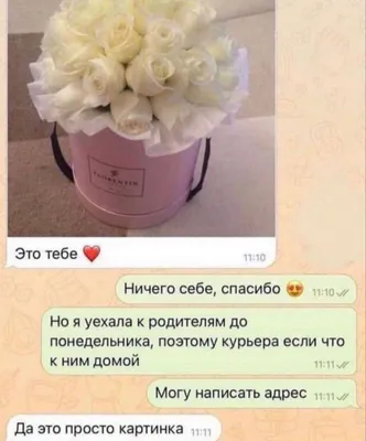 Это тебе,пельмешек по ту сторону экрана💖 | Детские шутки, Милые открытки,  Смешные мемы