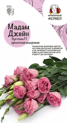 Букет из фиолетовой эустомы - заказать доставку цветов в Москве от Leto  Flowers