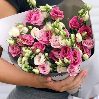 Elegant Enigma: The Ultimate Guide to Eustoma Flower Care