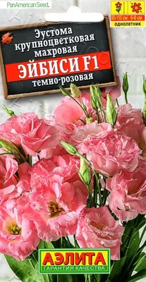 Букет из персиковой эустомы - заказать доставку цветов в Москве от Leto  Flowers