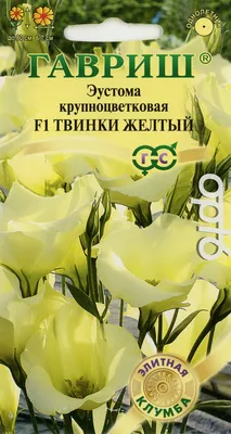 Посев эустомы на рассаду: когда и что делать, чтобы цветы были уже в июне -  Лайфхакер