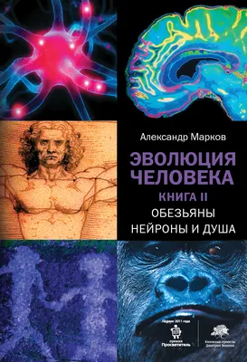 Открой тайны. Эволюция - купить с доставкой по Москве и РФ по низкой цене |  Официальный сайт издательства Робинс