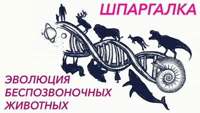 эволюция - Russian Morphemic Dictionary