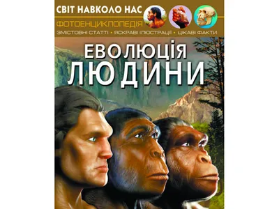 эволюция современного человека Иллюстрация вектора - иллюстрации  насчитывающей развитие, шарж: 237248257