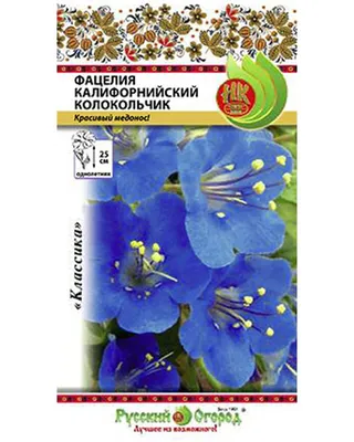 Фацелия пижмолистная сорт Алина, чистота 99%, семена (ID#58713174), цена:  129 ₴, купить на Prom.ua