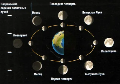 Перечислите фазы луны.письменно! - Школьные Знания.com