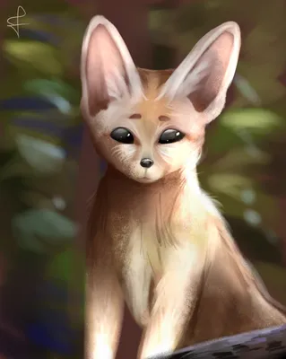 What sounds does a fennec fox make - YouTube