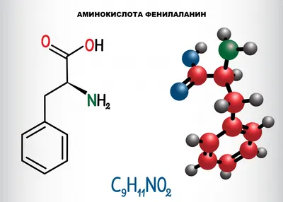 Статьи для специалистов | ФЕНИЛКЕТОНУРИЯ. Первые вопросы