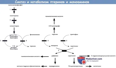 В областном Совете обсудили законопроект, направленный на поддержку детей,  больных фенилкетонурией