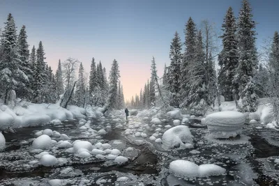 Календарь цветовода на февраль. Работы в феврале. Фото — Ботаничка