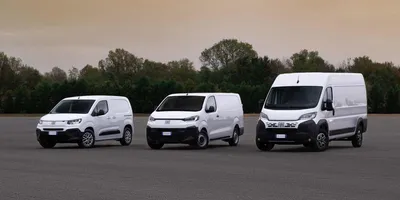 Fiat Ducato Kastenwagen – ein echter Allrounder