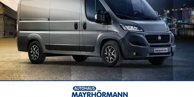 Fourgons Fiat Ducato