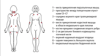 Книга Фибромиалгия и синдром хронической миофасциальной боли Руководство по  работе с триггерными точками Старланил Д., Коупленд М. - купить от 2 294 ₽,  читать онлайн отзывы и рецензии | ISBN 978-5-699-96393-5 | Эксмо